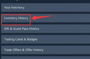 steam怎么查看库存记录