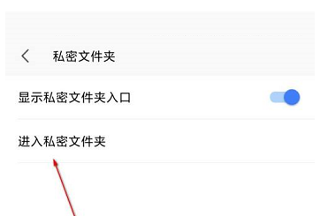 WPS office怎么进入私密文件夹