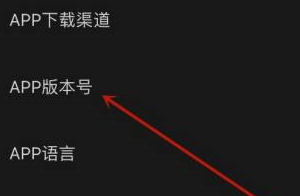 怎么看剪映的版本