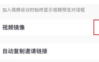 Zoom视频怎么镜像