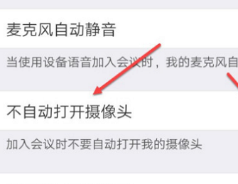 Zoom自动打开摄像头怎么关闭