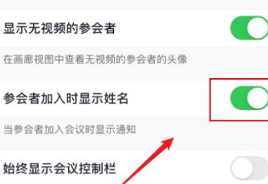 Zoom加入会议如何不显示名字