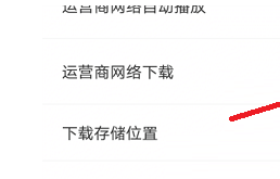 月亮影视大全怎么允许流量下载