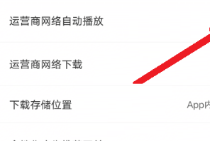 月亮影视大全怎么允许流量自动播放
