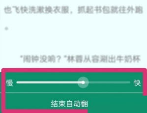 晋江文学城怎么自动翻页