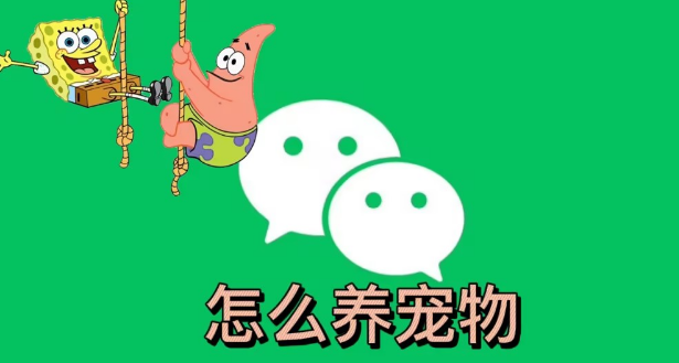 微信怎么养宠物