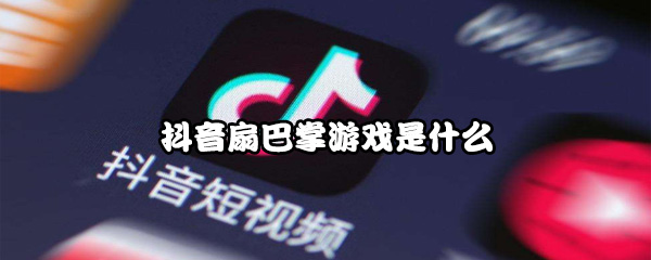 抖音扇巴掌游戏是什么