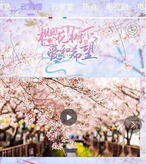 2020武汉东湖樱花怎么观看