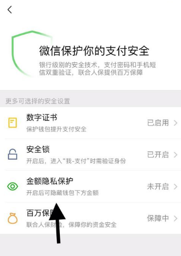 微信怎么开启钱包隐藏金额功能