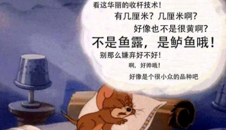 抖音不是鱼露是鲈鱼是什么梗