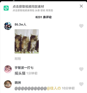 抖音三只猫点头蹦迪表情包