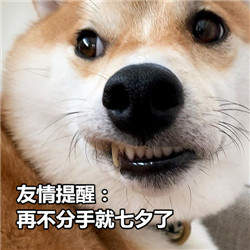 单身狗表情包微笑图片