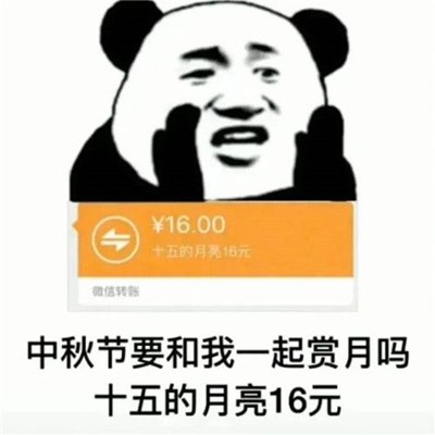 十五的月亮16元微信对话图片