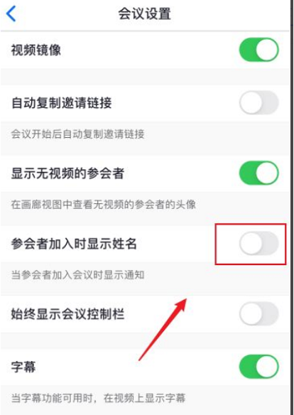 Zoom加入会议如何不显示名字