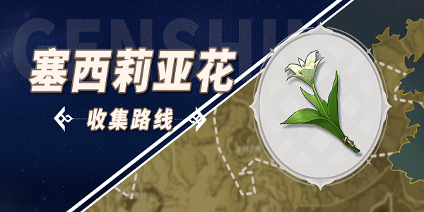 原神塞西莉亚花采集路线图