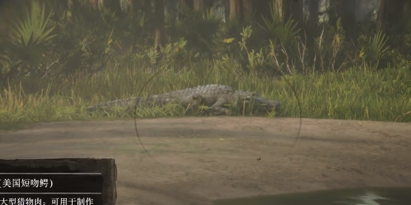 《荒野大镖客2》完美鳄鱼皮获取攻略