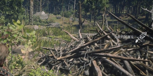 《荒野大镖客2》完美河狸皮获取位置