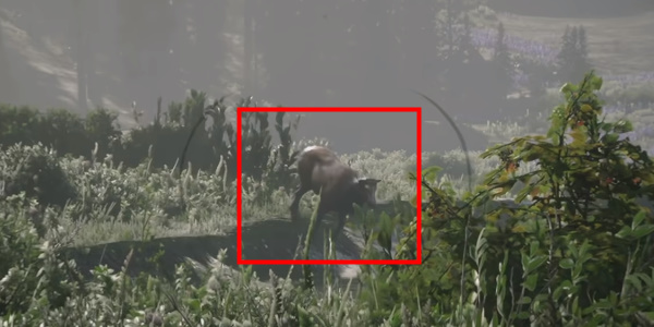 《荒野大镖客2》完美麋鹿皮获取位置