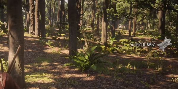 《荒野大镖客2》完美山狮皮获取位置