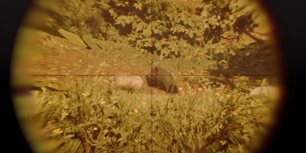 《荒野大镖客2》完美野猪皮获取位置