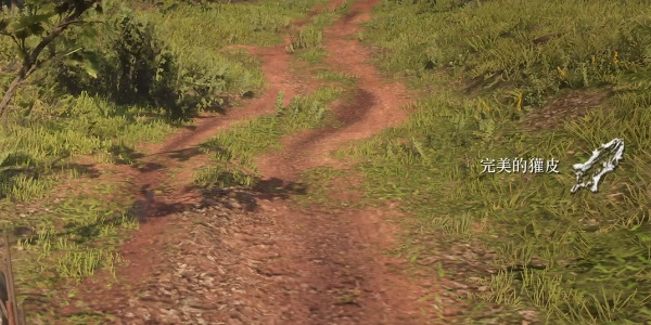 《荒野大镖客2》完美獾皮获取位置