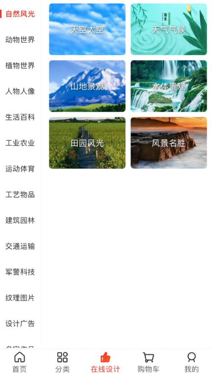 图王网app