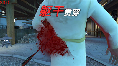 忍者信条3D中文版