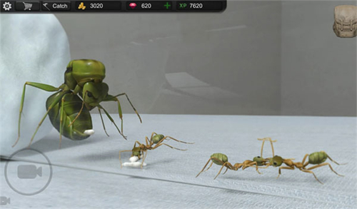 蚂蚁模拟大亨